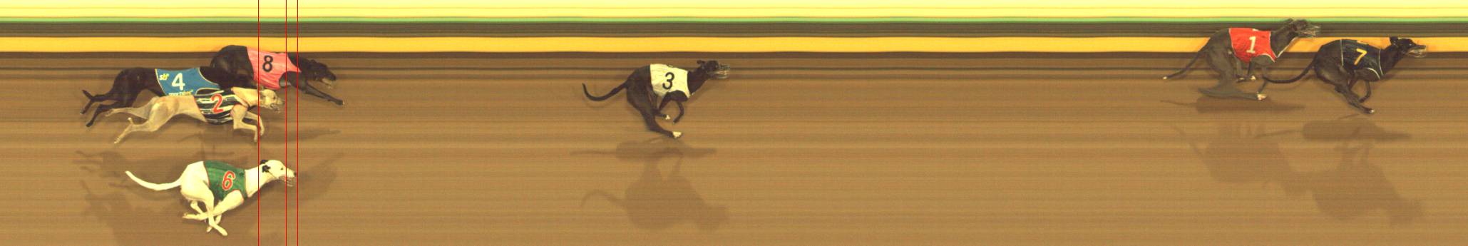 Race result finish photo